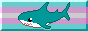 shark